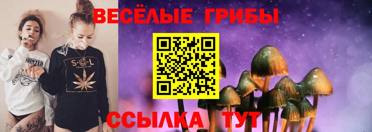 Псилоцибиновые грибы мицелий Сергиев Посад